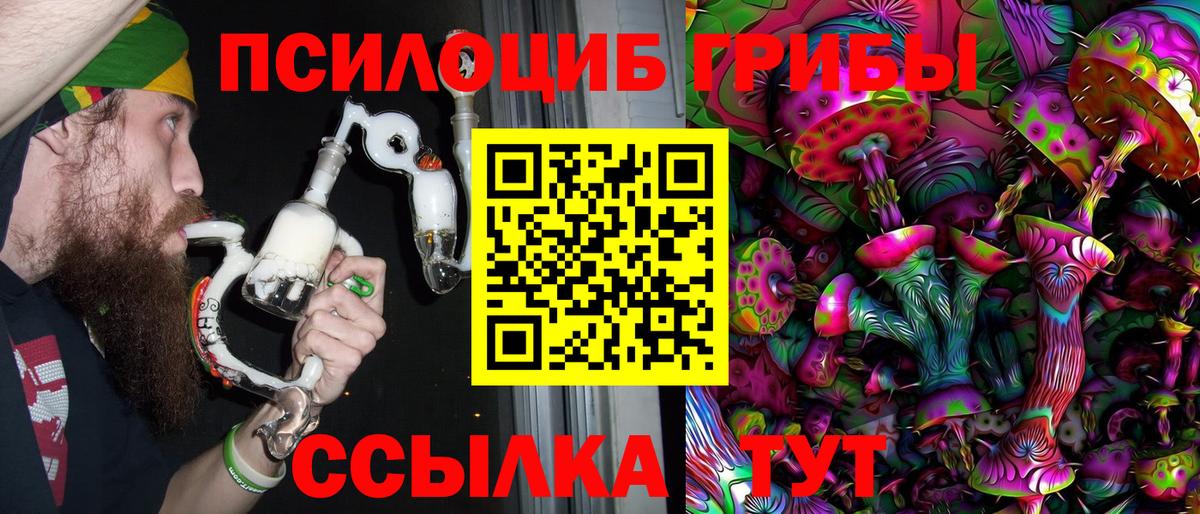 Кизляр  Псилоцибиновые грибы ЛСД  Вход с VPN  Галлюциногенные грибы Psilocybe 